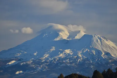 DSC_6004 (Large).JPG